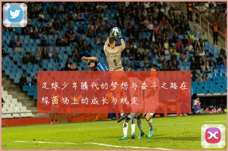 足球少年腾代的梦想与奋斗之路在绿茵场上的成长与蜕变