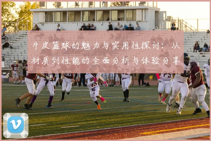 牛皮篮球的魅力与实用性探讨：从材质到性能的全面分析与体验分享