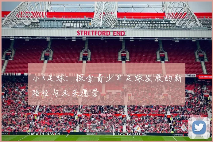 小R足球：探索青少年足球发展的新路径与未来愿景